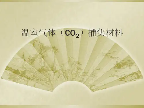 CO捕集材料 ppt课件
