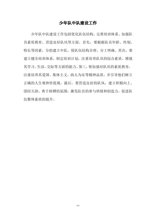 少年队中队建设工作
