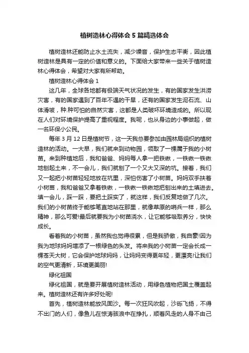 植树造林心得体会5篇精选体会