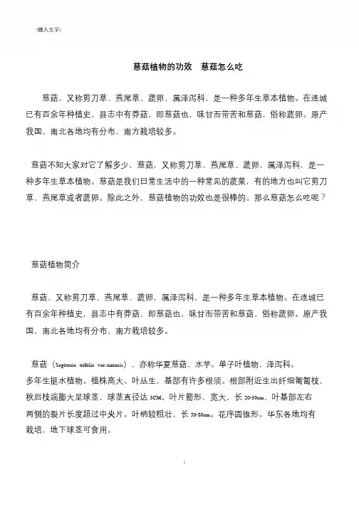 【推荐下载】慈菇植物的功效  慈菇怎么吃