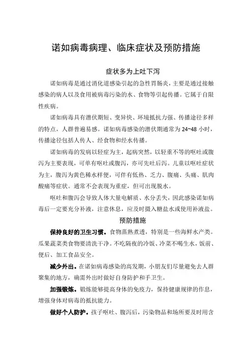 诺如病毒病理、临床症状及预防措施