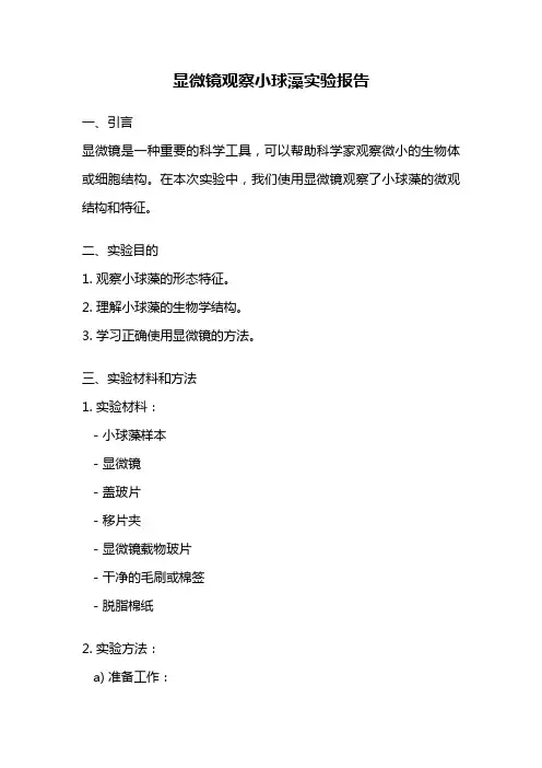 显微镜观察小球藻实验报告