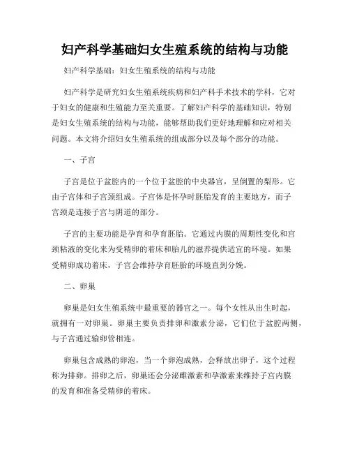 妇产科学基础妇女生殖系统的结构与功能