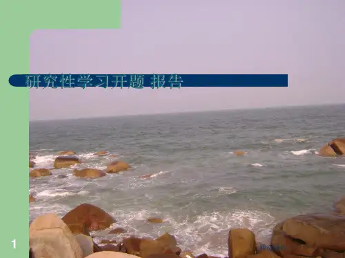 手机利弊研究性学习开题报吿