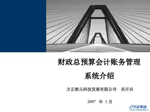 财政总预算会计账务管理