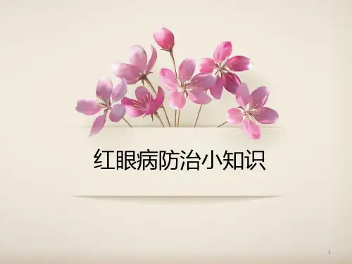 红眼病防治小知识PPT课件