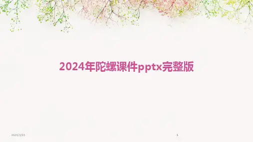 2024年度2024年陀螺课件pptx完整版(1)