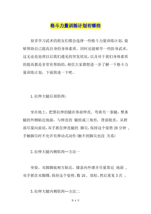 格斗力量训练计划有哪些