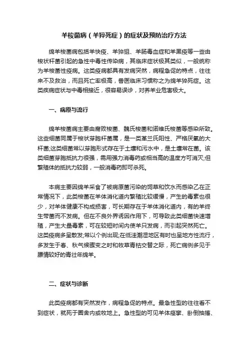 羊梭菌病（羊猝死症）的症状及预防治疗方法