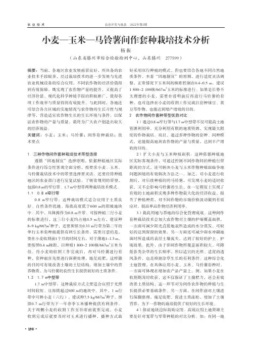 小麦—玉米—马铃薯间作套种栽培技术分析