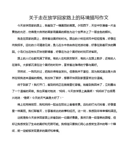 关于走在放学回家路上的环境描写作文