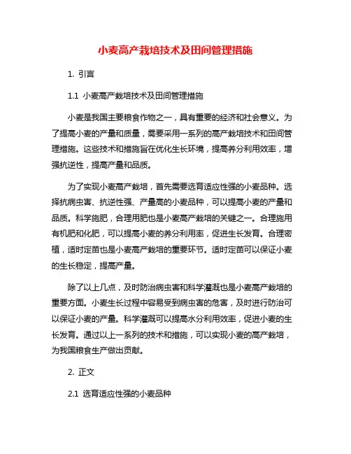 小麦高产栽培技术及田间管理措施