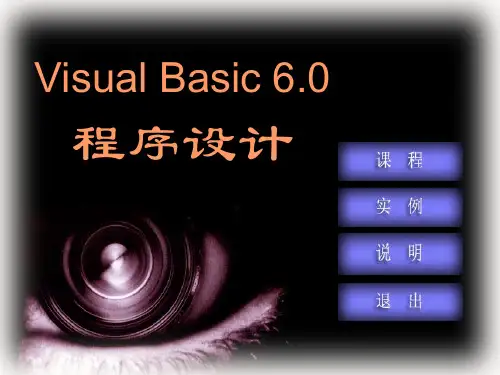 Visual Basic 6.0课件