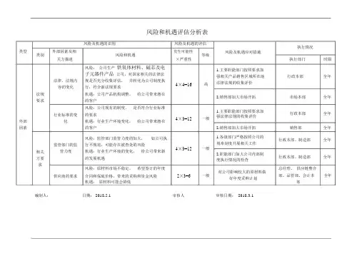 风险和机遇评估分析表范例