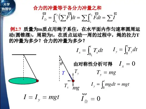 大学物理动量与动量守恒定律