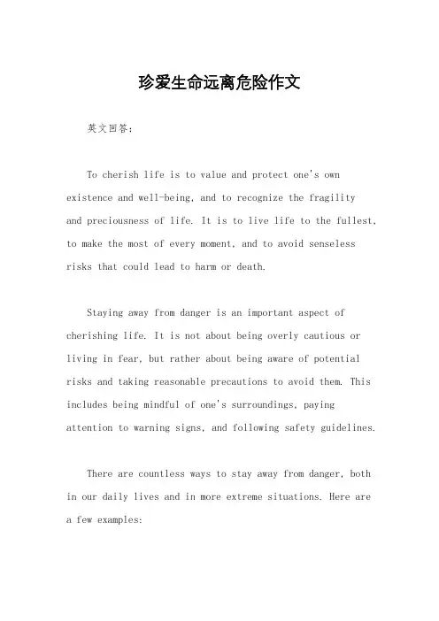 珍爱生命远离危险作文