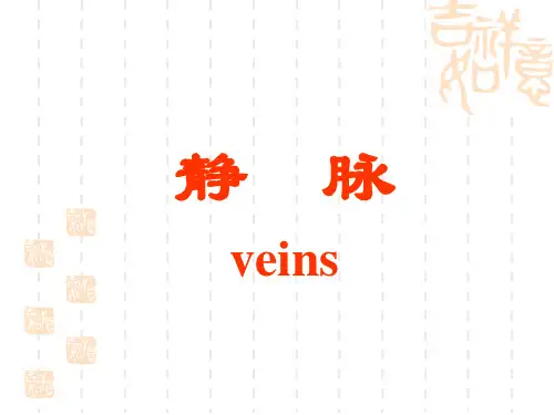 人体解剖学-静脉 PPT课件