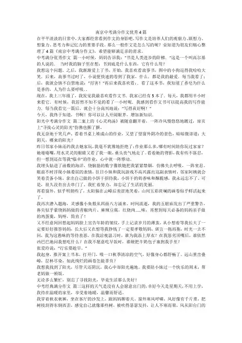 2023最新-南京中考满分作文优秀4篇