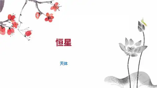 恒星    