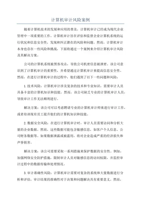 计算机审计风险案例