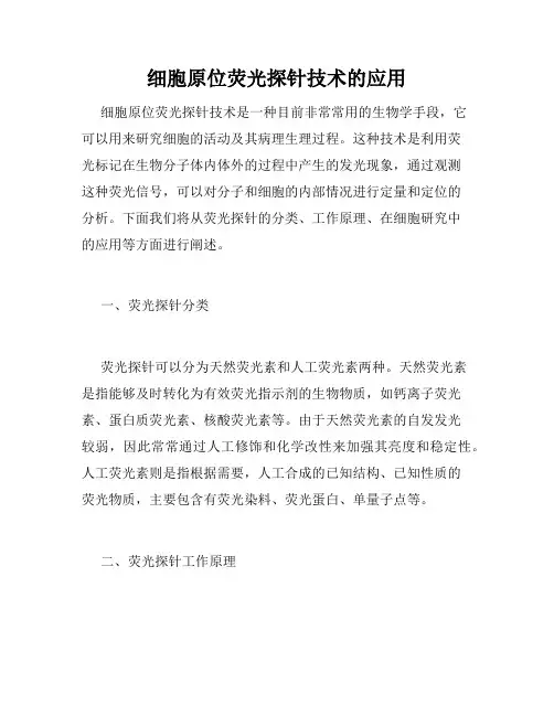 细胞原位荧光探针技术的应用