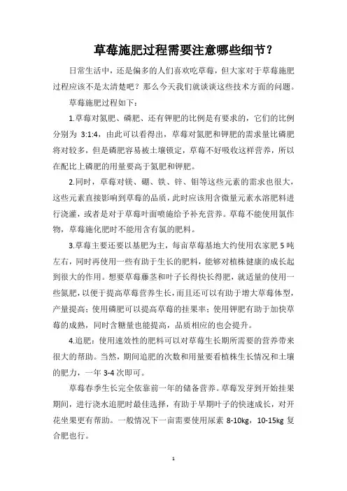 草莓施肥过程需要注意哪些细节？