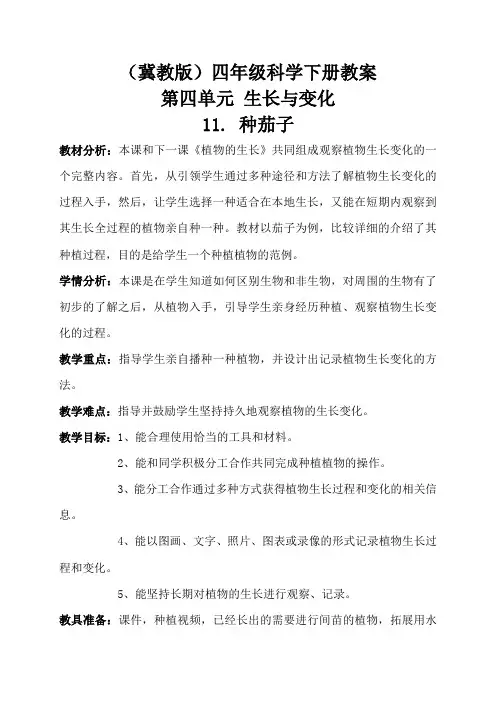 四年级下册科学教案-11. 种茄子-冀人版 (1)