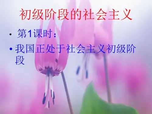 我国发生了翻天覆地的变化PPT教学课件