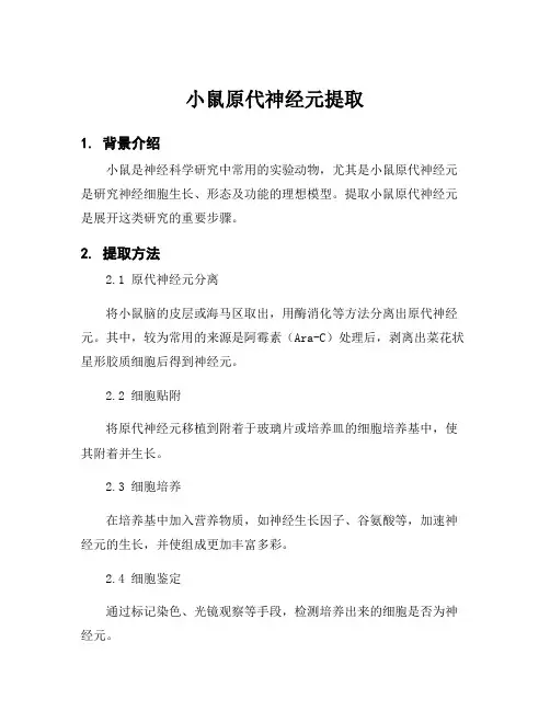 小鼠原代神经元提取