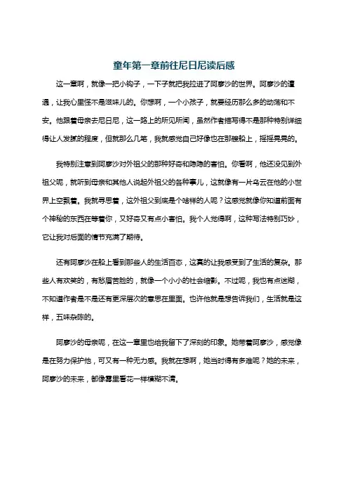 童年第一章前往尼日尼读后感