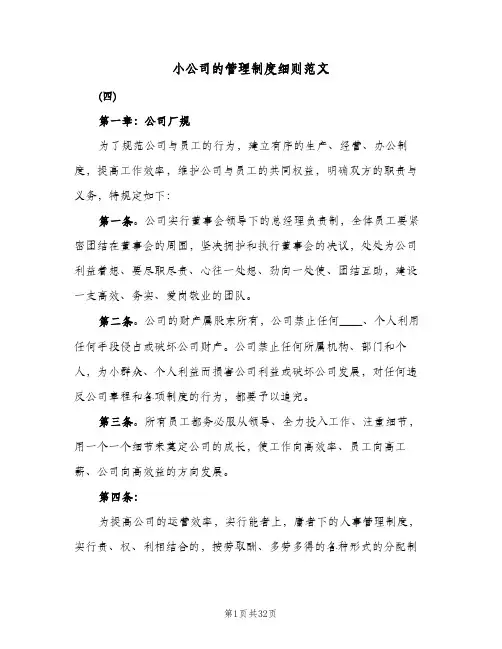 小公司的管理制度细则范文(五篇)