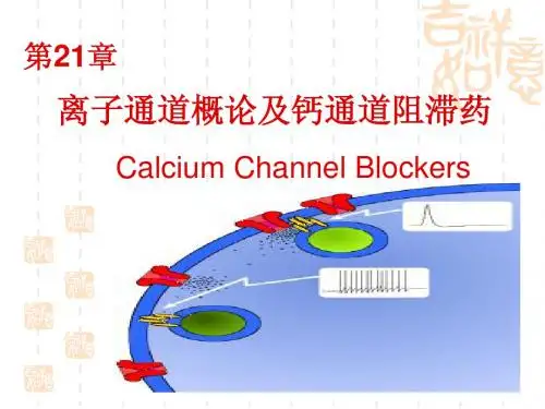 钙通道阻滞药