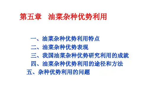 第五章油菜杂种优势利用