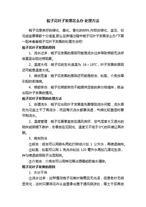 栀子花叶子发黑怎么办处理方法