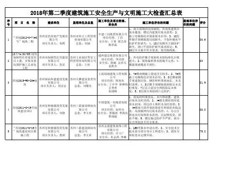 区二季度安全大检查汇总表