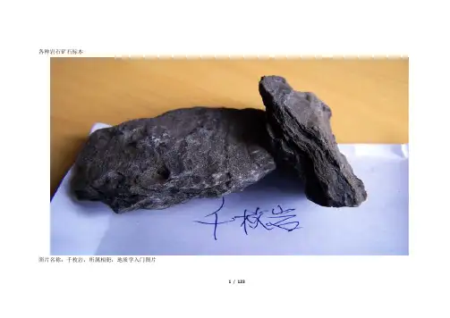 各种岩石矿石标本