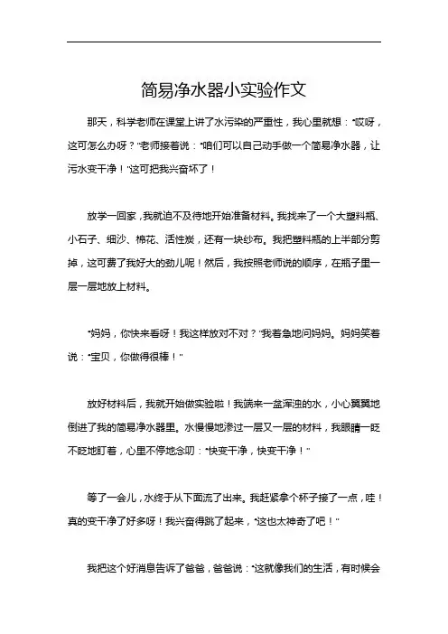 简易净水器小实验作文