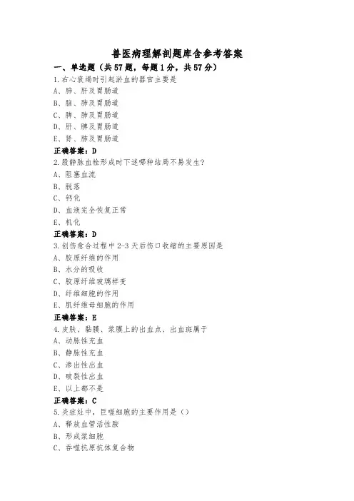 兽医病理解剖题库含参考答案