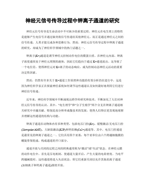 神经元信号传导过程中钾离子通道的研究