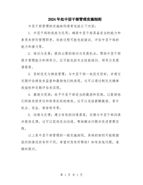 2024年处中层干部管理实施细则
