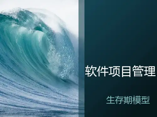 项目初始-生存期