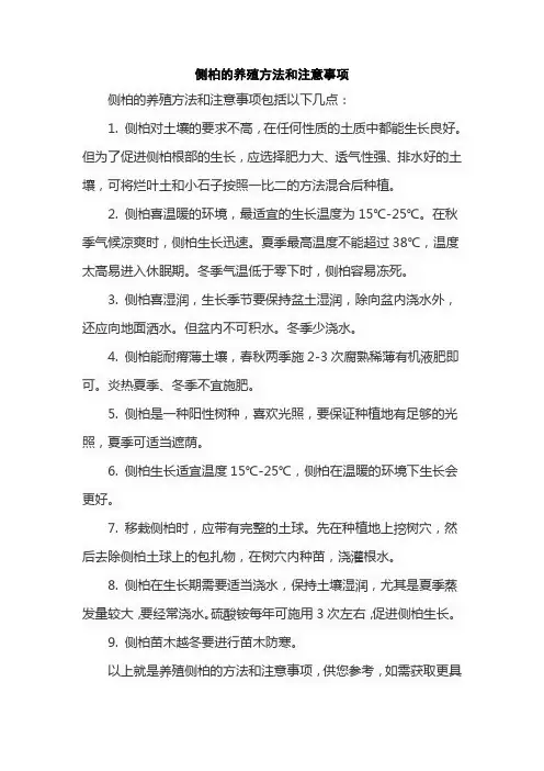 侧柏的养殖方法和注意事项