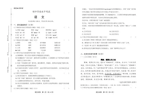 2020年中考语文复习试题含答案06