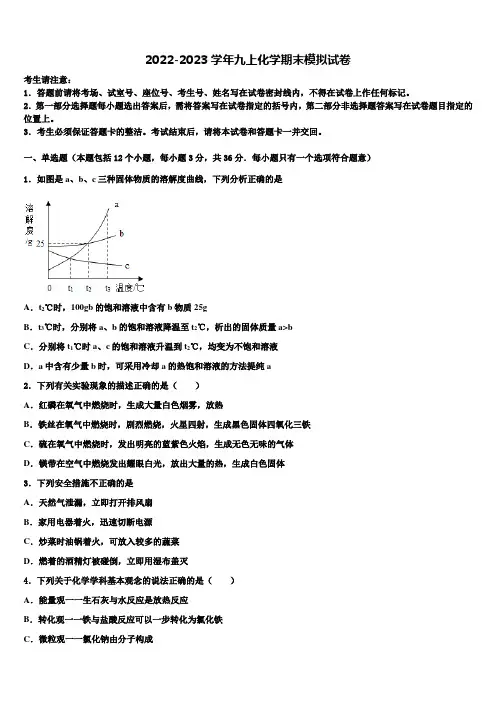 2022年中山市重点中学九年级化学第一学期期末经典试题含解析