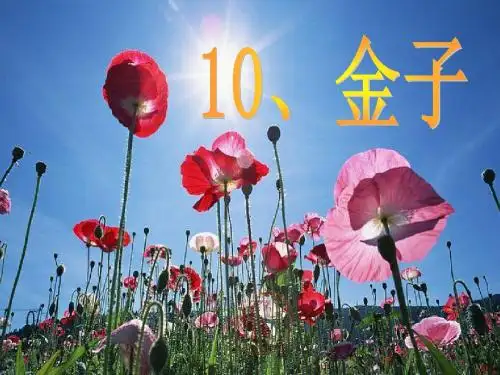 (2019春新版)苏教版3三年级语文下册第10课《金子》(原创)课件