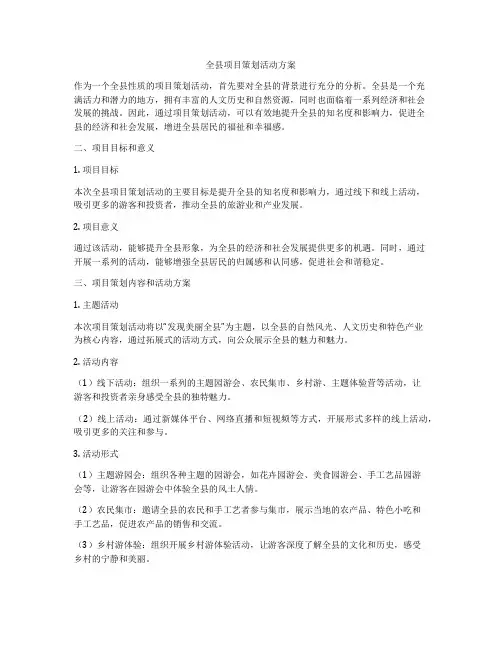 全县项目策划活动方案