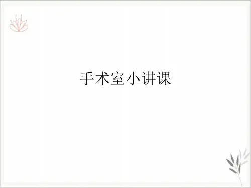 手术室小讲课PPT课件