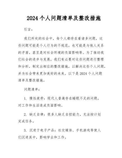 2024个人问题清单及整改措施