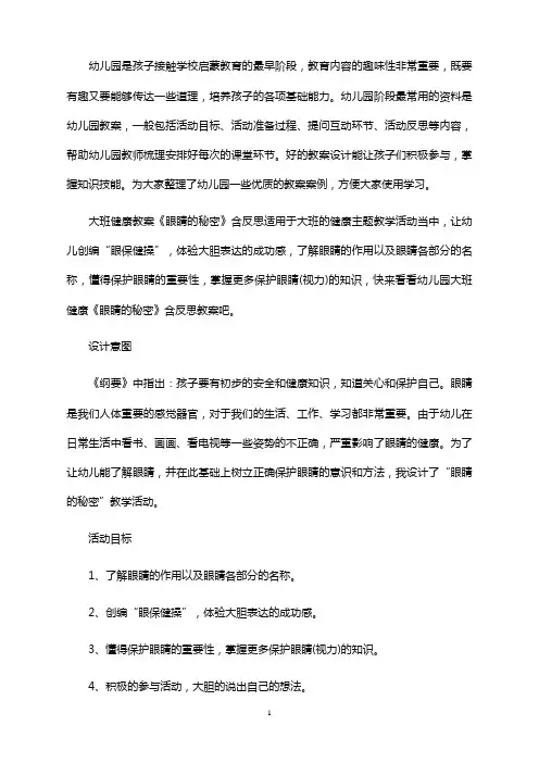 大班健康教案《眼睛的秘密》含反思