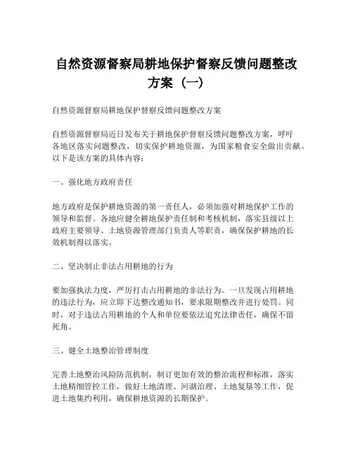 自然资源督察局耕地保护督察反馈问题整改方案 (一)